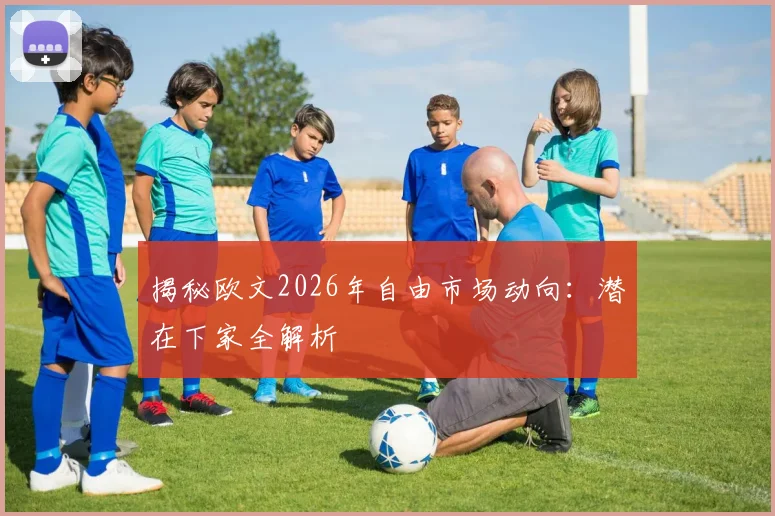 揭秘欧文2026年自由市场动向：潜在下家全解析